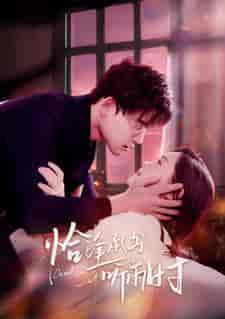 恰逢承书听雨时（80集）四一-搜外项目网