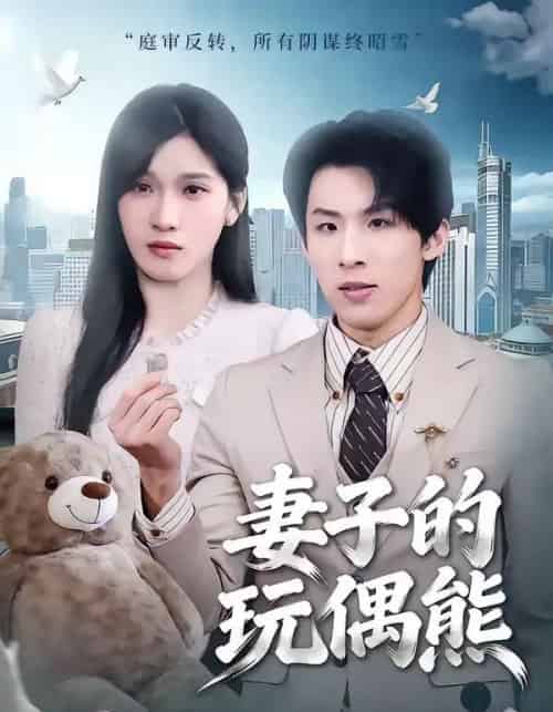 妻子的玩偶熊(60集全)高其瑞&张清妍-搜外项目网