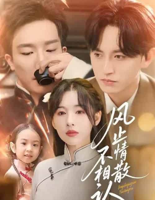 风止情散不相认(74集全)卓航&白旭含-搜外项目网