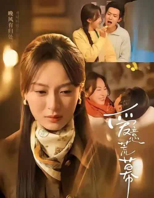 爱意荒幕(70集全)程琳淼&邵之鹏-搜外项目网