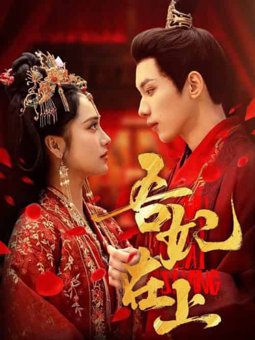 吾妃在上（70集全）刘昱辰＆吴添豪-搜外项目网