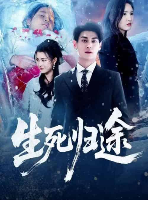 生死归途（50集全）王晶晶＆王国豪杰-搜外项目网