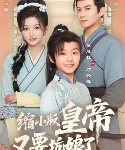 缩小版皇帝又要坑娘了（80集）倪越杭＆张晗-搜外项目网