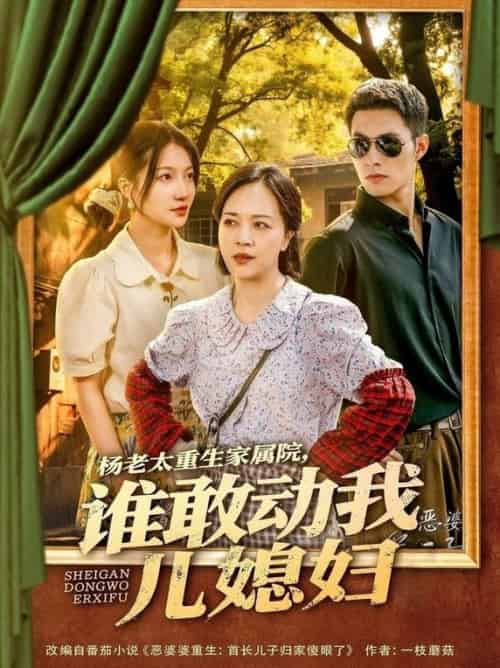 杨老太重生家属院,谁敢动我儿媳妇(85集全)兰岚&邹盛文-搜外项目网