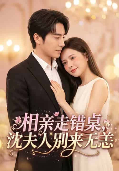 相亲走错桌，沈夫人别来无恙（70集全）常高明＆陈露茜-搜外项目网
