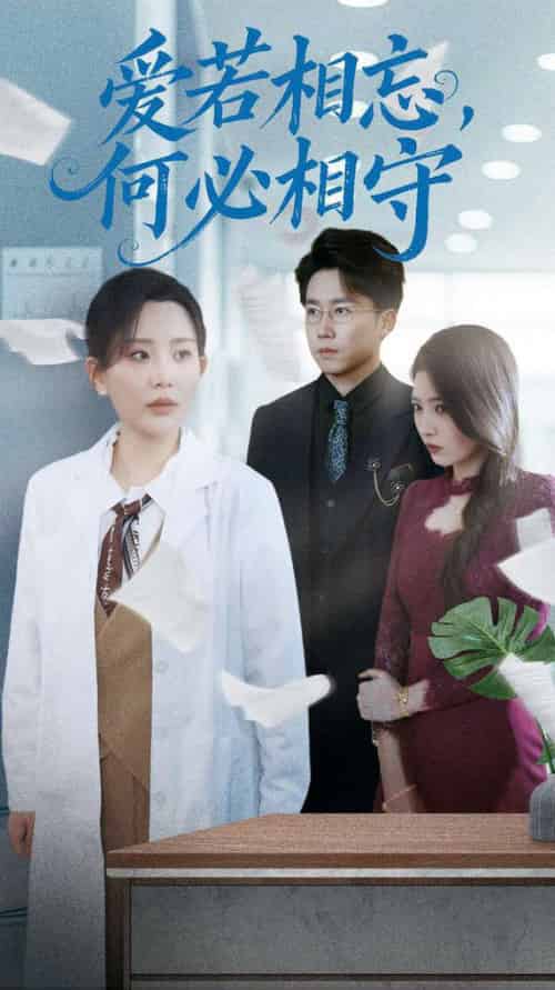 爱若相忘，何必相守（47集全）彭剑雄＆李智颖-搜外项目网