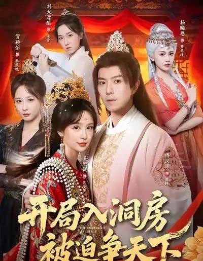 开局入洞房,被迫争天下(88集全)傅汉源&姜熙饶-搜外项目网