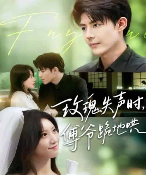 玫瑰失声时傅爷跪地哄（70集）詹妮＆于济玮-搜外项目网