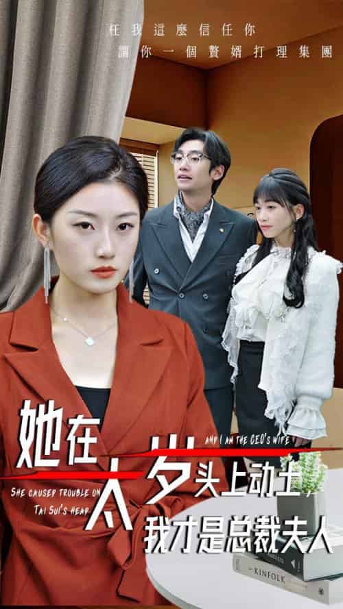她在太岁头上动土，我才是总裁夫人（36集全）林元元-搜外项目网