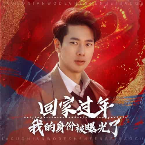 回家过年我的身份被曝光了(60集)张子安-搜外项目网