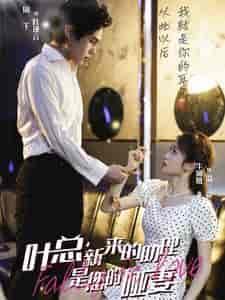 叶总新来的助理是您的哑妻（45集全）-搜外项目网