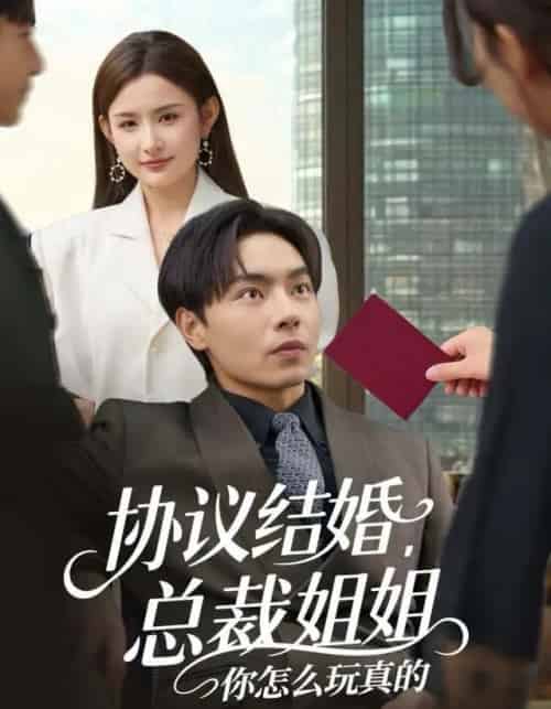 协议结婚,总裁姐姐你怎么玩真的(85集全)张闻宇&董鹿鹿-搜外项目网