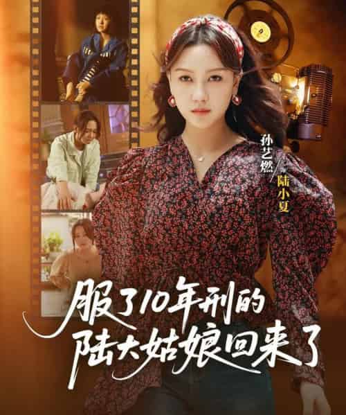 服了10年刑的陆大姑娘回来了(77集)孙艺燃&肖琪峰-搜外项目网