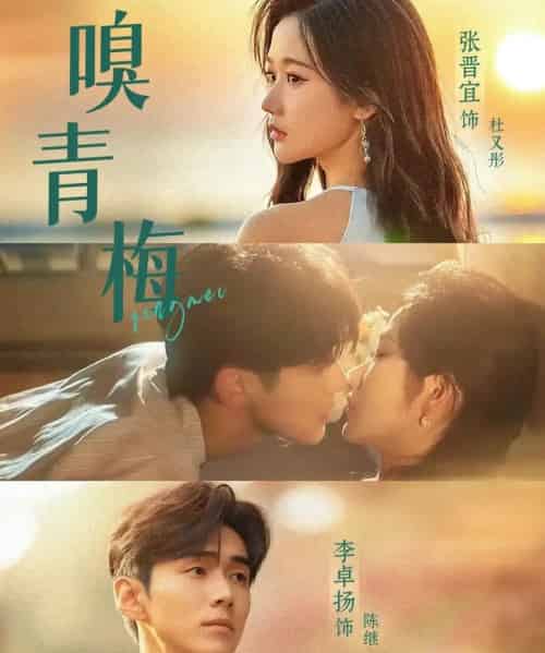 嗅青梅（74集）张晋宜＆李卓扬-搜外项目网