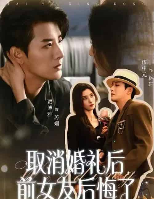 取消婚礼后，前女友后悔了（79集全）伍中元＆贾博雅-搜外项目网