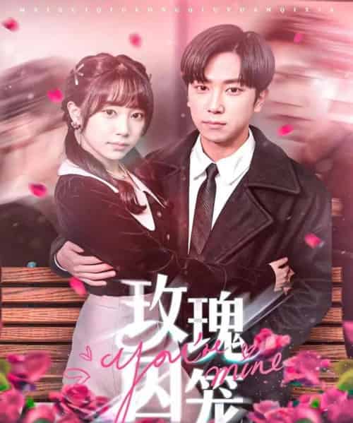 玫瑰囚笼(81集全)张旭&沈南姝-搜外项目网