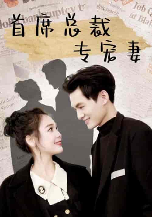 首席总裁专宠妻（86集全）夜南天＆陆倾城-搜外项目网
