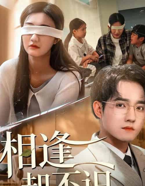 相逢却不识（77集全）刘静阳＆程汁-搜外项目网