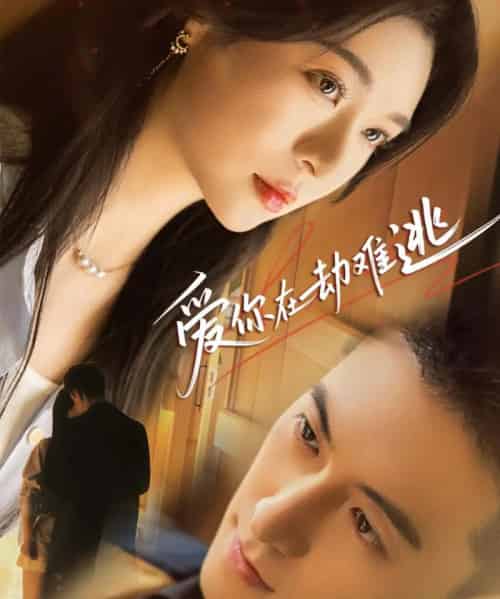 爱你在劫难逃（58集）杨寒＆郑晨雨-搜外项目网