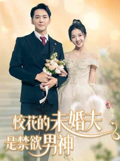校花的未婚夫是禁欲男神(42集全)贡兴&海蒂-搜外项目网