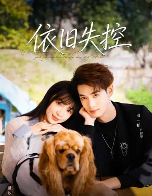 依旧失控(78集全)盛以婕&潘一杉-搜外项目网