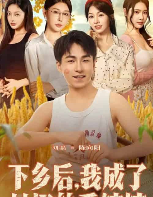 下乡后我成了村里的香饽饽（86集全）刘磊＆隋安蓉-搜外项目网