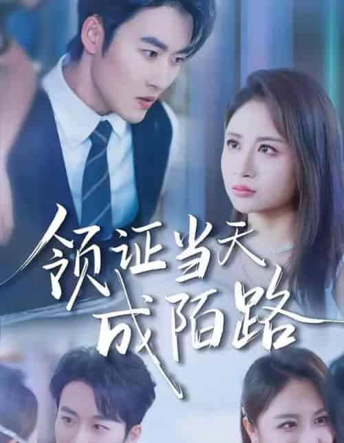 领证当天成陌路（39集全）姜博龙＆李佳乐-搜外项目网