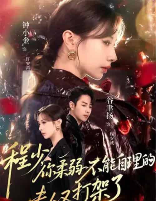 程少，你柔弱不能自理的夫人又打架了（60集全）谷聿扬＆钟小金＆崔尹思汉-搜外项目网