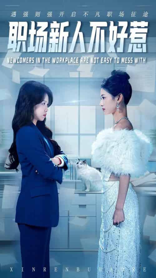 职场新人不好惹（61集全）汪巧＆吴彦婷-搜外项目网