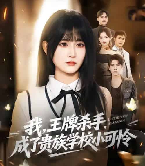 我,王牌杀手,成了贵族学校小可怜(80集全)吴宇航&杨珊子-搜外项目网