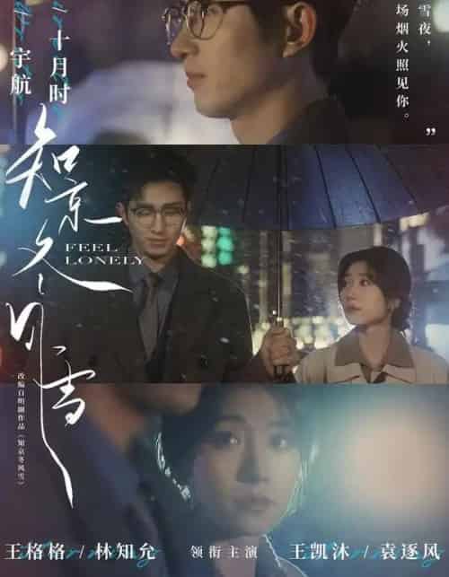 知京冬风雪(68集全)王凯沐&王格格-搜外项目网