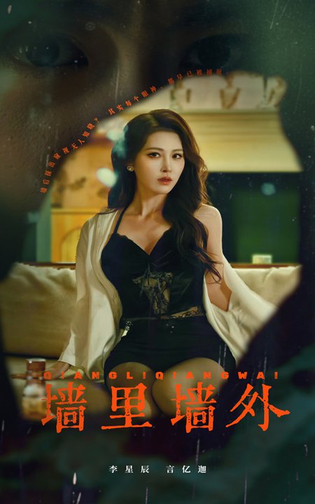 墙里墙外（55集全）李星辰-搜外项目网