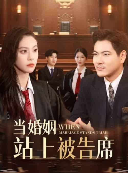 当婚姻站上被告席（30集）刘林＆刘涵飞-搜外项目网