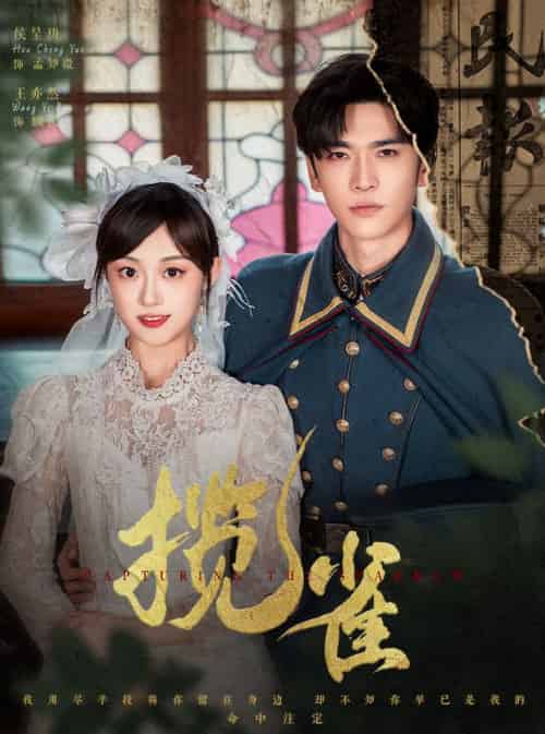 揽雀（61集）王奕然＆侯呈玥-搜外项目网