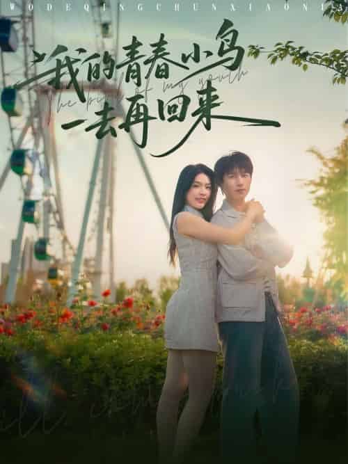 我的青春小鸟一去再回来（95集）严浩＆刘彦君＆瑞子＆王希如-搜外项目网