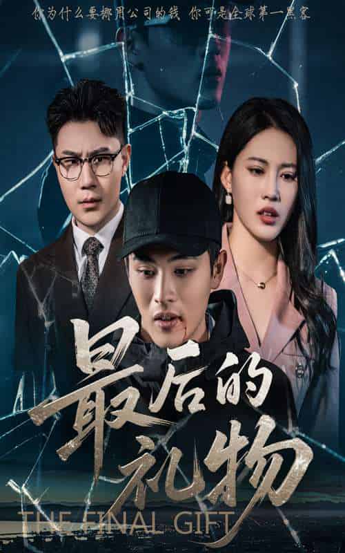 最后的礼物（60集）王立京＆梅瑞莹-搜外项目网