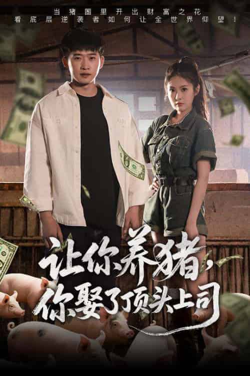 让你养猪，你娶了顶头上司（70集）邓威＆陈酉昔-搜外项目网