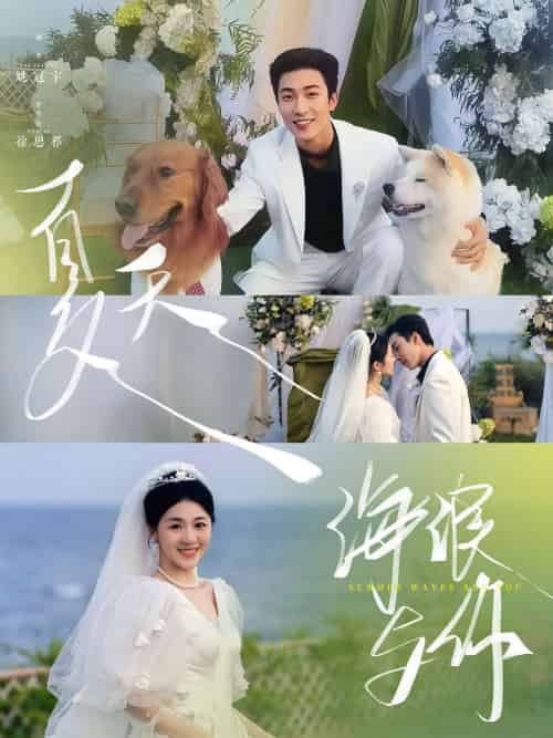 夏天，海浪与你（76集）姚冠宇＆徐思祁-搜外项目网