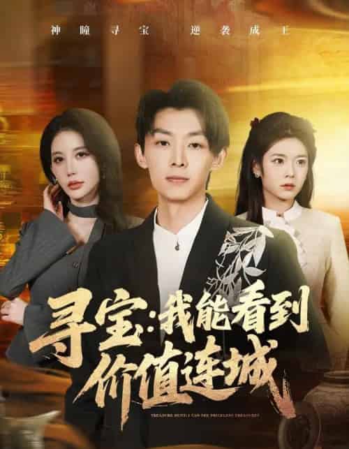 寻宝：我能看到价值连城（80集全）凌月＆孙伟豪-搜外项目网