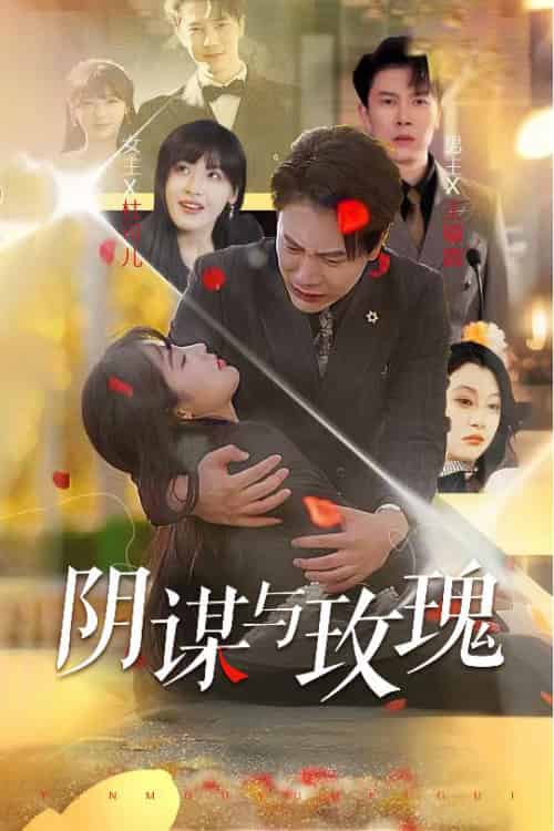 阴谋与玫瑰（31集全）朱馨玉＆刘涵飞-搜外项目网