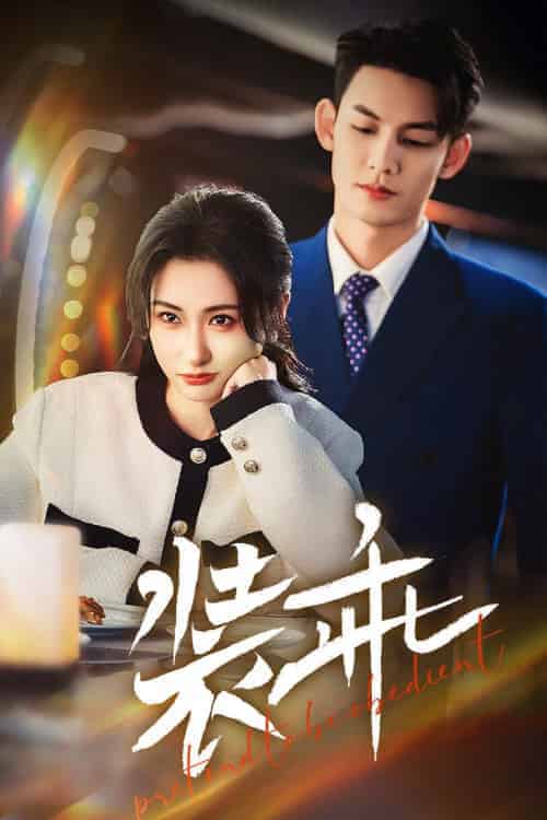 装乖（59集全）林永炬＆崔十一-搜外项目网