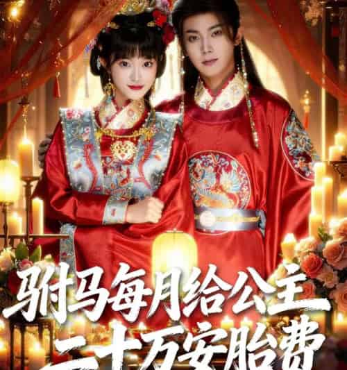 驸马每月给公主二十万安胎费（80集全）范呈麒＆周舟-搜外项目网