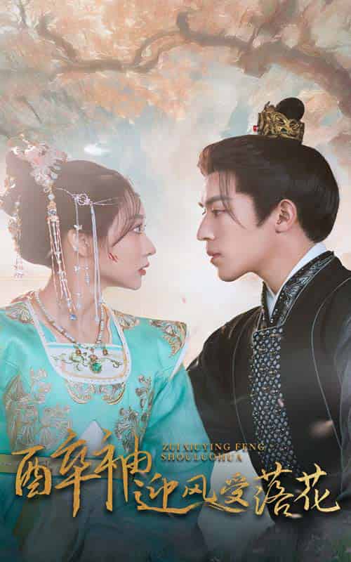 醉袖迎风受落花（55集全）田杨＆李若琪-搜外项目网