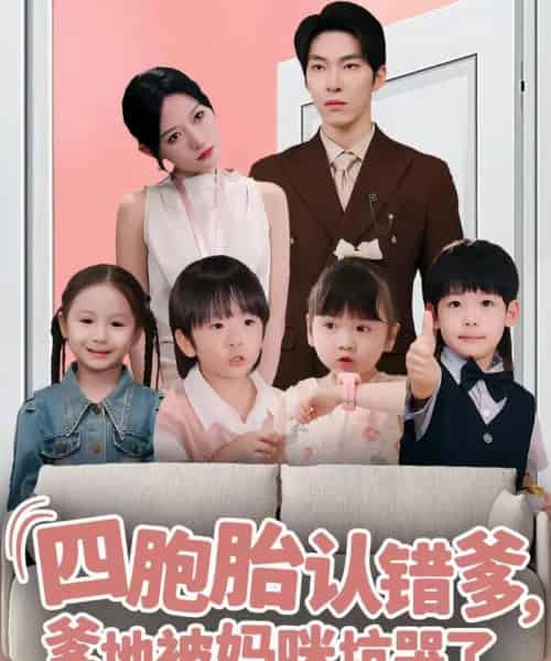 四胞胎认错爹，爹地被妈咪坑哭了（71集全）张禹麟＆谭丽芳-搜外项目网