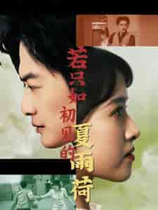 若只如初见的夏雨荷（90集全）吴梦媛-搜外项目网
