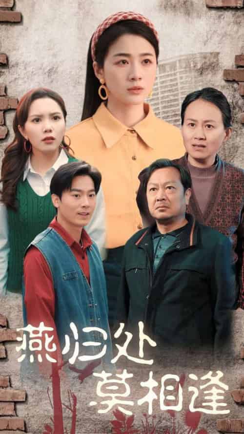 燕归处莫相逢（52集全）徐思祁-搜外项目网