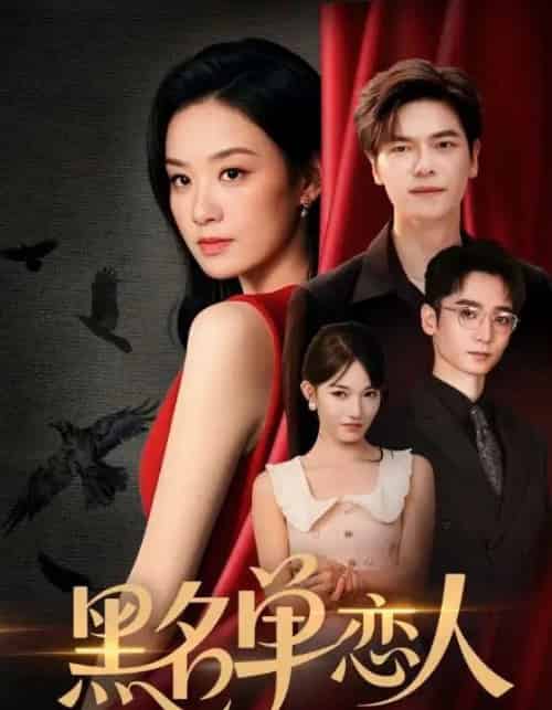 黑名单恋人（72集）刘瀚阳＆王宇婧-搜外项目网