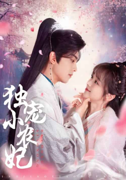独宠小农妃（63集全）韦若辰＆蔡淼燕-搜外项目网