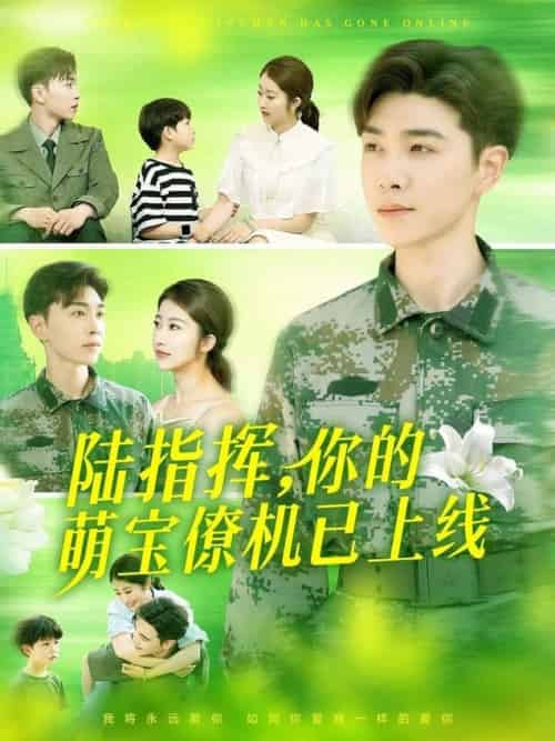 陆指挥你的萌宝僚机已上线(169集全)胡博文&崔馨心-搜外项目网