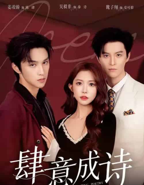 肆意成诗（60集全）一飞＆姜竣瀚＆魏子翔-搜外项目网